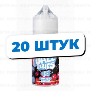 Jazz Berries Salt - Forest Lounge (20 штук / упаковка) Jazz Berries Salt - Forest Lounge (20 штук / упаковка)