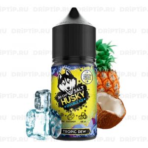 Husky Import Double Ice Salt - Tropic Dew Husky Import Double Ice Salt - Tropic Dew