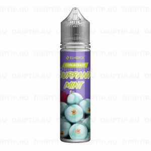 Cool and Crazy - Currant Mint Cool and Crazy - Currant Mint