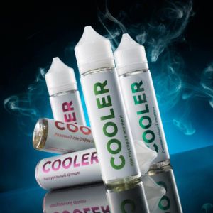 Cooler Salt Кактусовая жвачка Cooler Salt Кактусовая жвачка